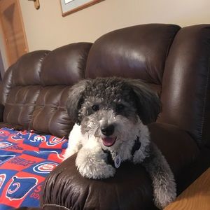 Meet your Posher, Debra